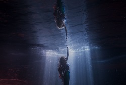 Loading The Little Mermaid Pics 2 -    2     ...